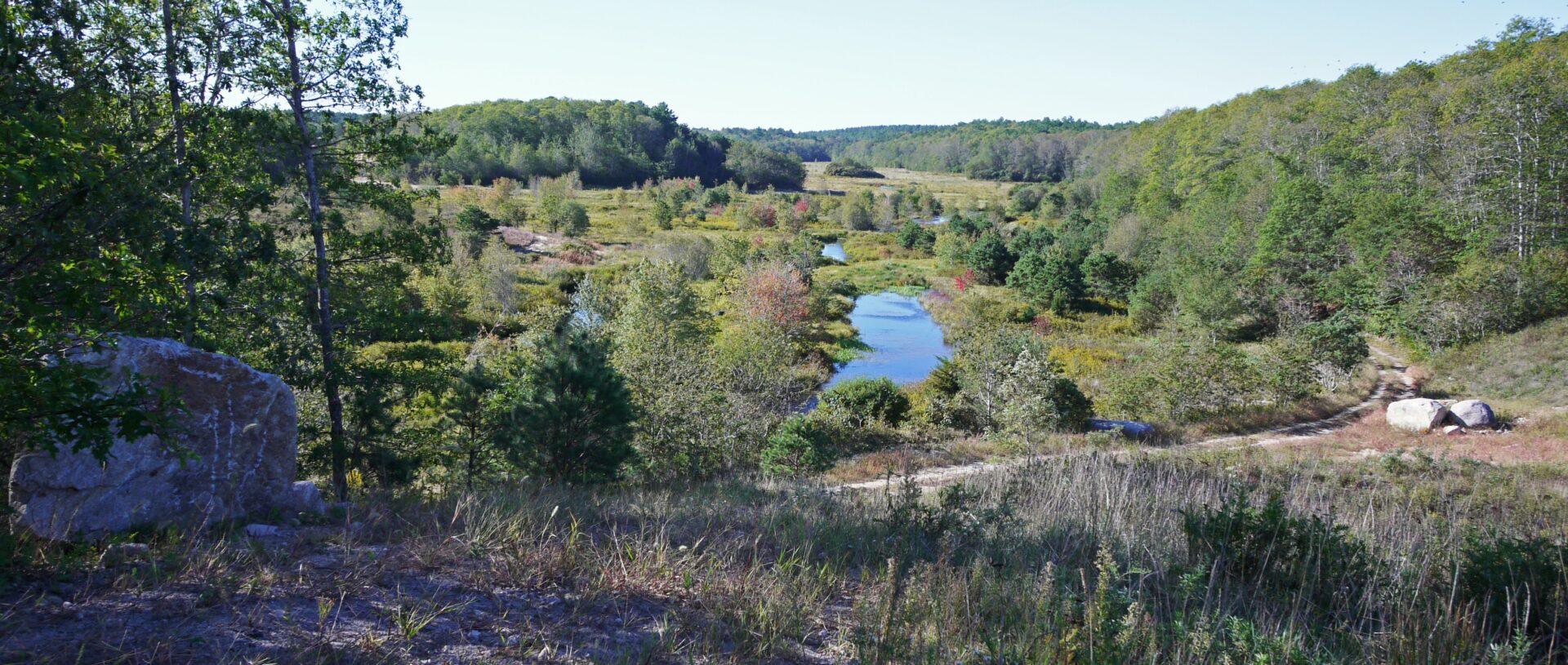 Tidmarsh Sanctuary Land in Plymouth Purchased! 1 Tidmarsh Retored Valley from Mars.9.2016