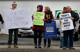 Animal rights activists and hunters face off in Hyannis over coyote hunting contest 1