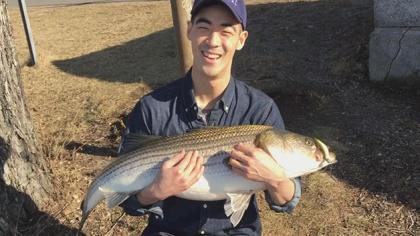 Harvard Grad Student Catches 25-Pound Striped Bass In Charles River 1 fish1