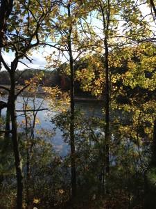 MILES STANDISH STATE FOREST –East Head Reservoir Trail. 6