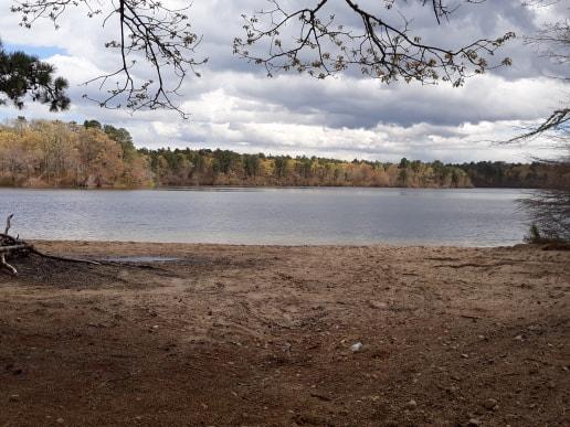 Beaver Dam Conservation Area-Plymouth ma 2