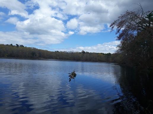 Beaver Dam Conservation Area-Plymouth ma 9