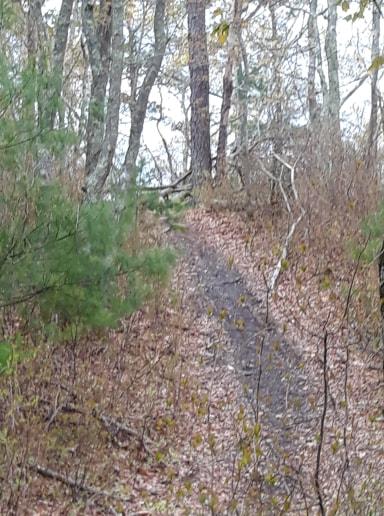 Beaver Dam Conservation Area-Plymouth ma 1