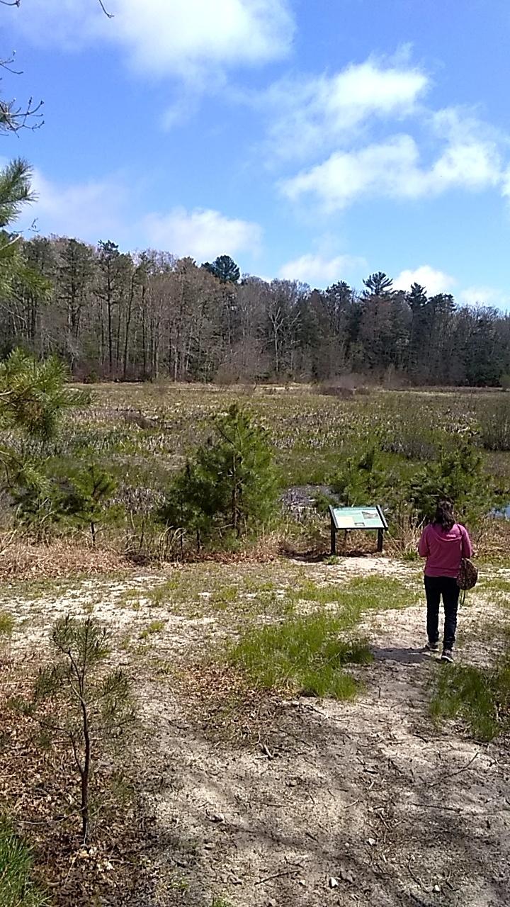 EEL RIVER PRESERVE 1 726