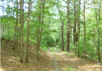 Crawley Woodlands Preserve 1 Screen shot 2012 10 31 at 3.43.49 PM