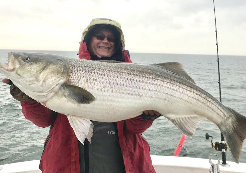 World Record Striper Caught and Released in Virginia 1 B4H7MKKCOFGJXP2VU2E5NAYRNI