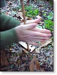 Starting a fire with only two sticks is a fundamental survival technique that all outdoor enthusiasts should be familiar with 1 Starting a fire with only two sticks is a fundamental survival technique that all outdoor enthusiasts should be familiar with 1
